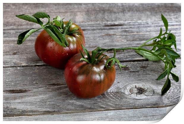 Ripe organic tomatoes on rustic wooden table in close up view   Print by Thomas Baker