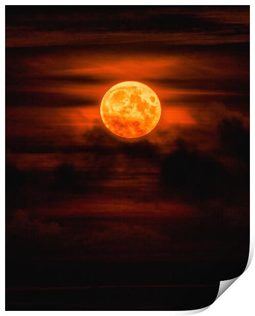 Golden Harvest Moon over Montrose Print by DAVID FRANCIS