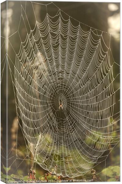 spider and his / her architecture Canvas Print by Simon Johnson
