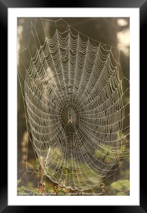 spider and his / her architecture Framed Mounted Print by Simon Johnson