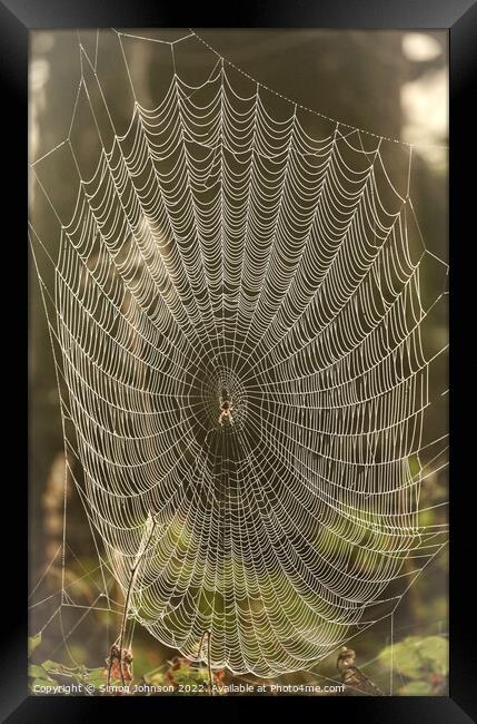 spider and his / her architecture Framed Print by Simon Johnson