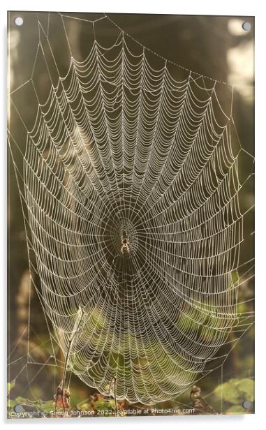 spider and his / her architecture Acrylic by Simon Johnson