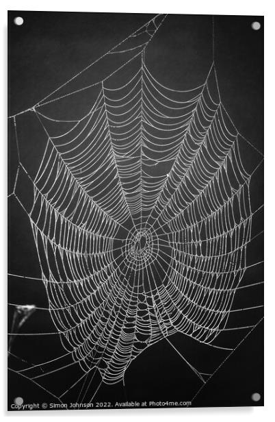 Spider architecture  Acrylic by Simon Johnson