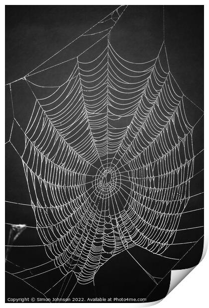 Spider architecture  Print by Simon Johnson