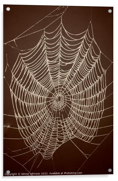 Spiders web Acrylic by Simon Johnson