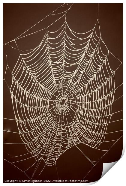 Spiders web Print by Simon Johnson