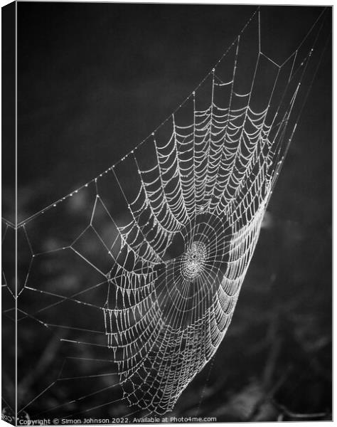 Cobweb Canvas Print by Simon Johnson