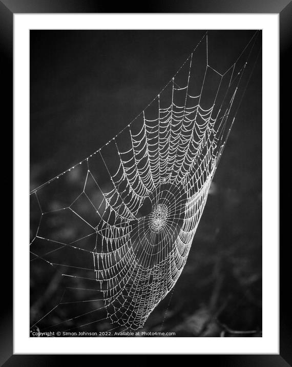Cobweb Framed Mounted Print by Simon Johnson