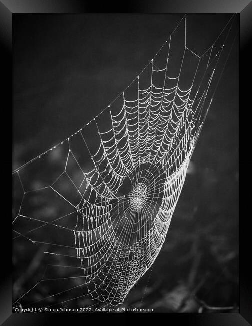 Cobweb Framed Print by Simon Johnson