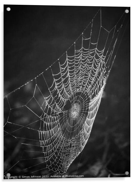 Cobweb Acrylic by Simon Johnson