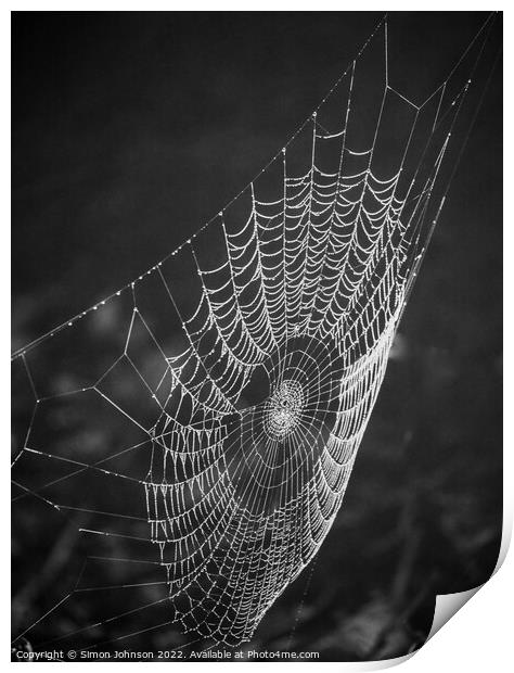 Cobweb Print by Simon Johnson