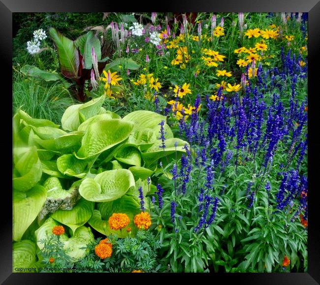 Part of our garden Framed Print by Stephanie Moore