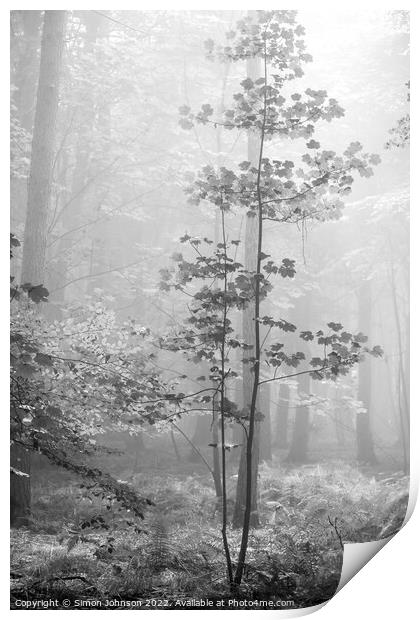 Misty Woodland Print by Simon Johnson