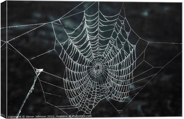 Spiders web  Canvas Print by Simon Johnson