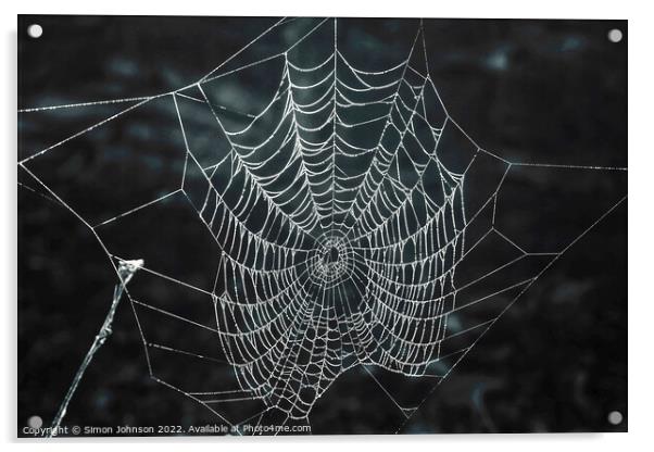 Spiders web  Acrylic by Simon Johnson