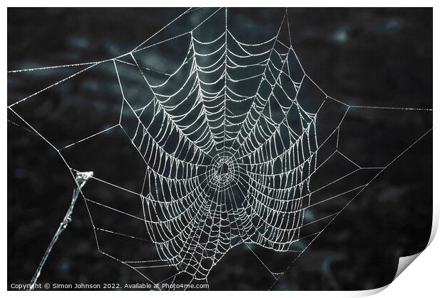 Spiders web  Print by Simon Johnson