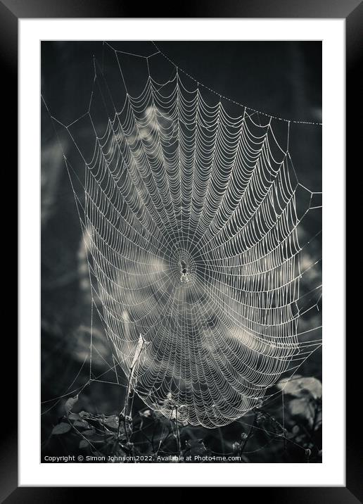 Spider and his construction Framed Mounted Print by Simon Johnson