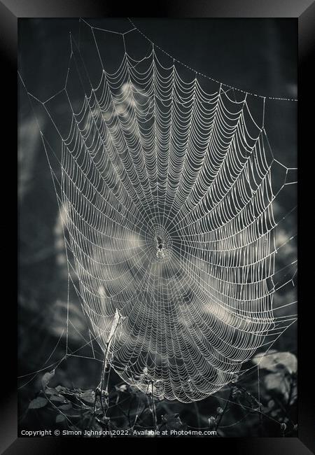 Spider and his construction Framed Print by Simon Johnson