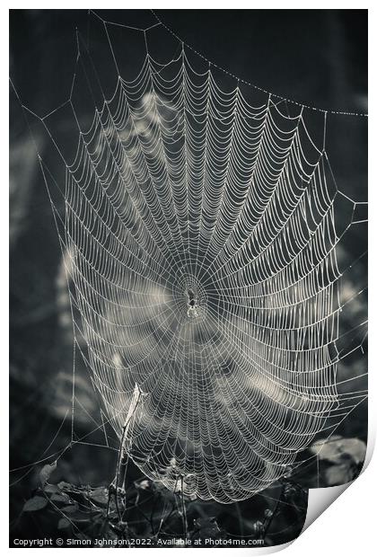 Spider and his construction Print by Simon Johnson