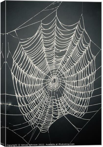 spiders web Canvas Print by Simon Johnson