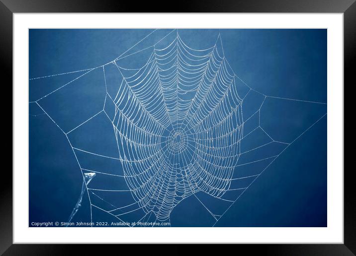 Cobweb  Framed Mounted Print by Simon Johnson