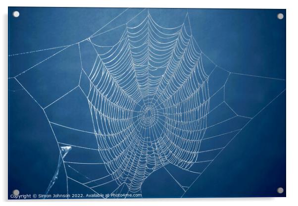 Cobweb  Acrylic by Simon Johnson