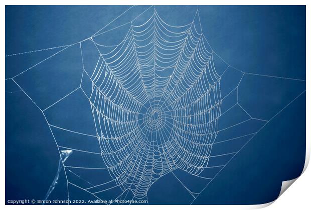 Cobweb  Print by Simon Johnson