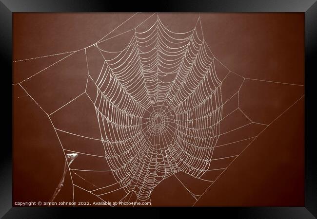 Spiders web Framed Print by Simon Johnson