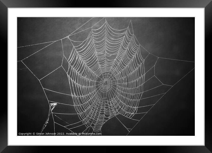 conweb Framed Mounted Print by Simon Johnson