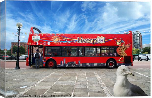 Liverpool Bus and Photobomber Canvas Print by Alison Chambers