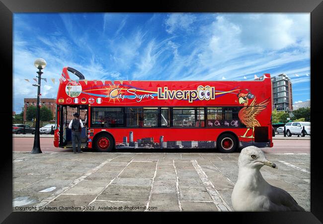 Liverpool Bus and Photobomber Framed Print by Alison Chambers
