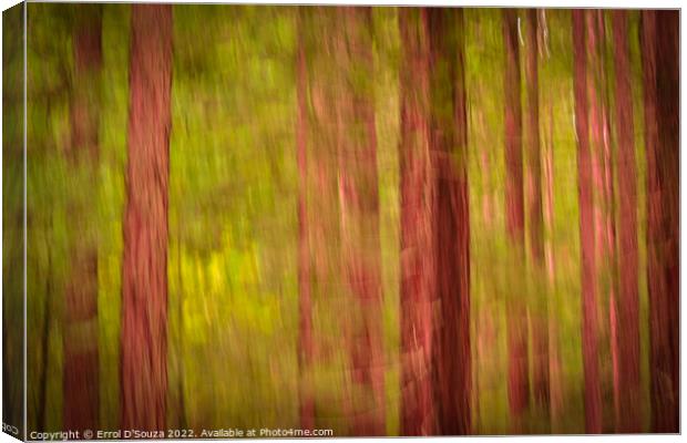 Redwood Forest Foliage Canvas Print by Errol D'Souza