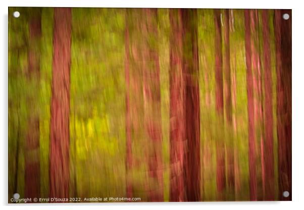Redwood Forest Foliage Acrylic by Errol D'Souza