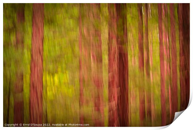 Redwood Forest Foliage Print by Errol D'Souza