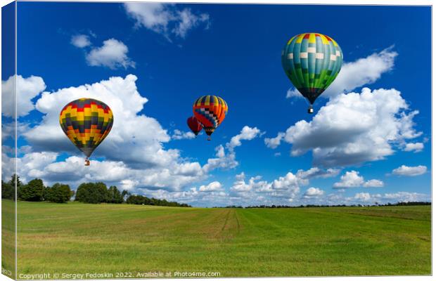 Colorful hot air balloons over green rice field. Canvas Print by Sergey Fedoskin