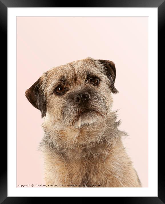 Border Terrier Portrait Framed Mounted Print by Christine Kerioak