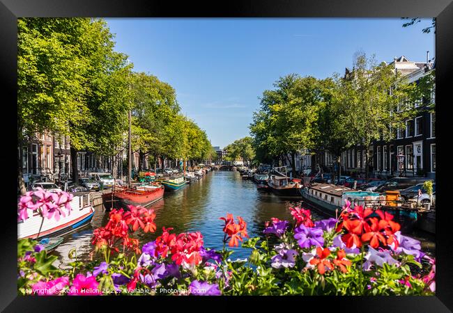 Flowers on the Prinsengracht, Framed Print by Kevin Hellon