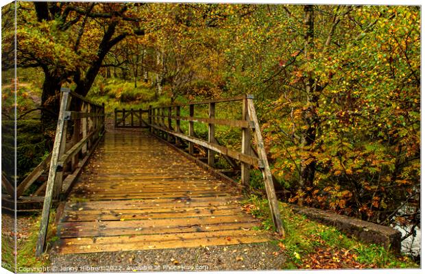 Bridge crossing river in Glen Nevis in autumn  Canvas Print by Jenny Hibbert