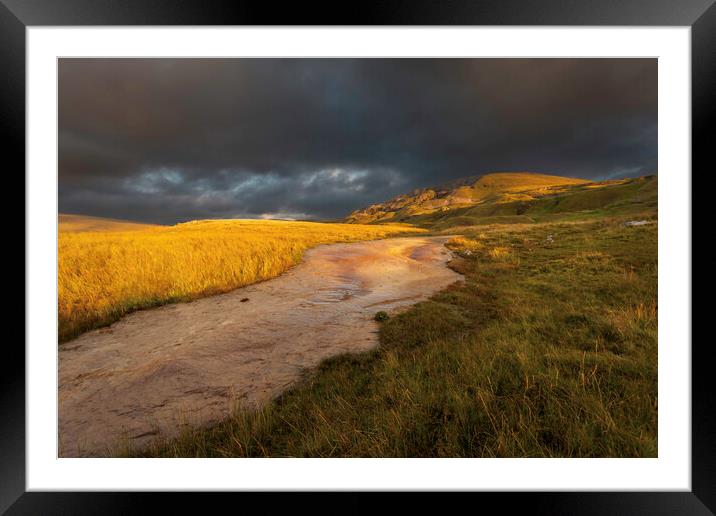 A limestone stream Framed Mounted Print by Leighton Collins