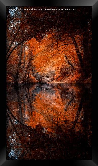 "Autumn's Fiery Embrace: A Captivating Reflection" Framed Print by Lee Kershaw