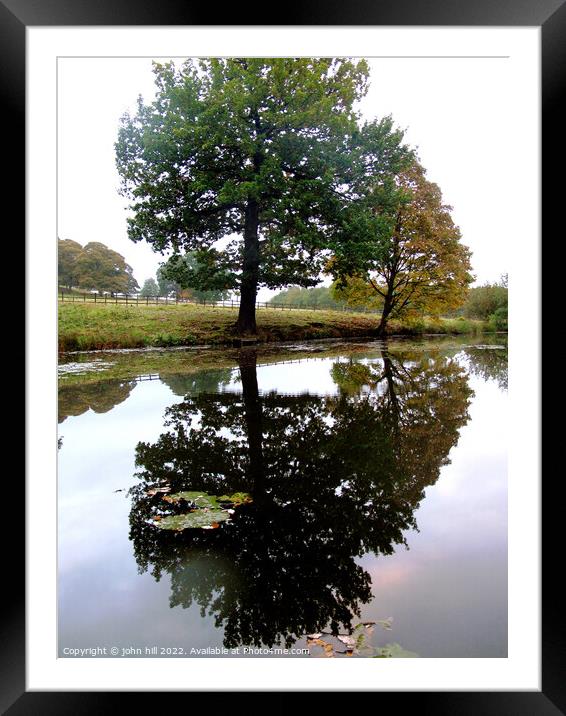 Reflections in Autumn ( portrait ) Framed Mounted Print by john hill