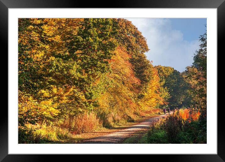 Path by Autumn Colors Framed Mounted Print by Sally Wallis