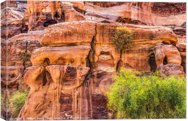 Rose Red Rock Tombs Street of Facades Petra Jordan Canvas Print by William Perry