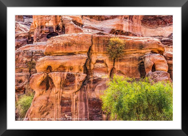 Rose Red Rock Tombs Street of Facades Petra Jordan Framed Mounted Print by William Perry