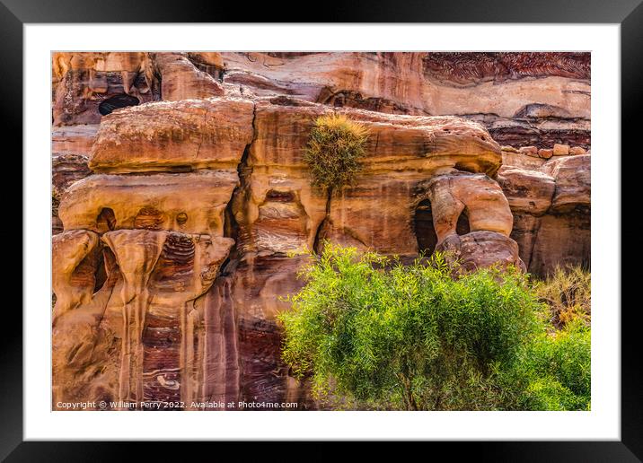Rose Red Rock Tombs Street of Facades Petra Jordan Framed Mounted Print by William Perry