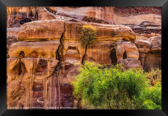Rose Red Rock Tombs Street of Facades Petra Jordan Framed Print by William Perry
