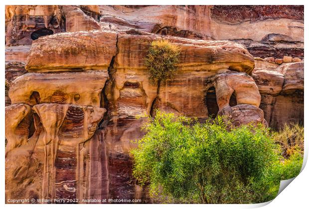 Rose Red Rock Tombs Street of Facades Petra Jordan Print by William Perry