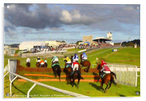 Horse Racing at Downpatrick Acrylic by Harry Marcus