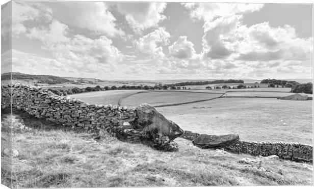 Norber in monochrome Canvas Print by Mark Godden