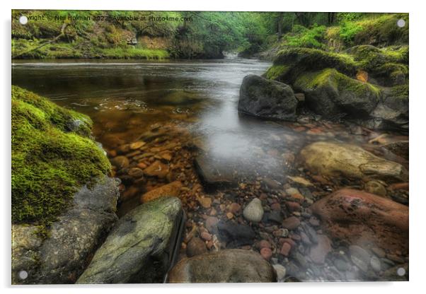 The Afon Pyrddin River at Pontneddfechan Acrylic by Neil Holman